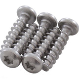 Hayward RCX12011 Panel Screw