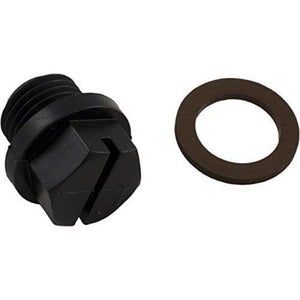 Hayward SPX1700FGV Pipe Plug with Gasket