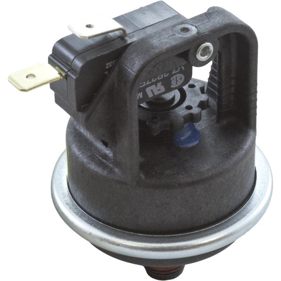 Pentair 42001-0060S Water Pressure Switch